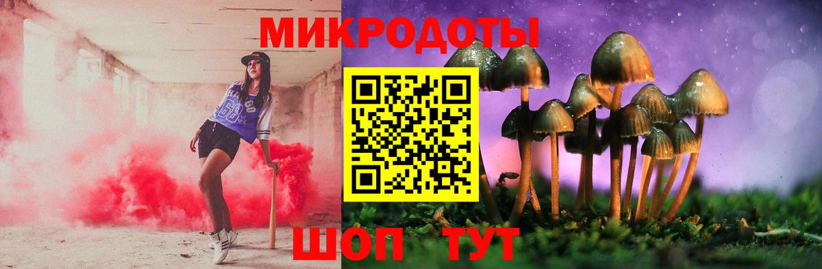 Псилоцибиновые грибы мухоморы  Вход с VPN  Камышин 