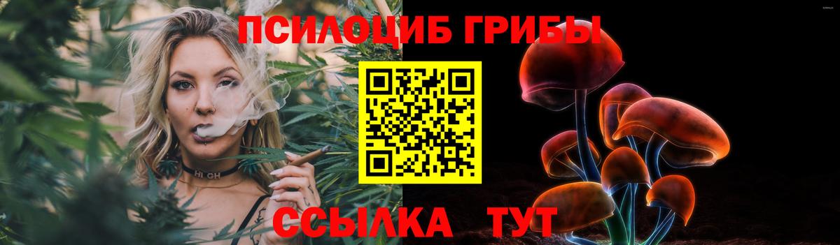 Псилоцибиновые грибы Cubensis Камышин